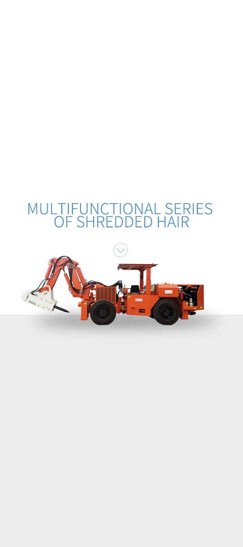 Multifunctional series  of shredded hair